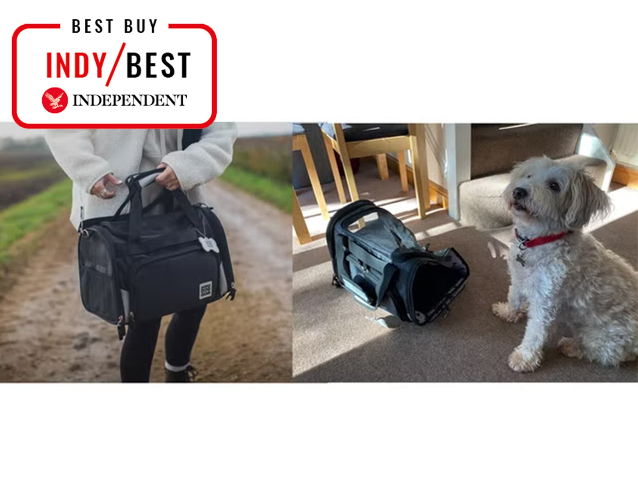 Best dog shop equipment